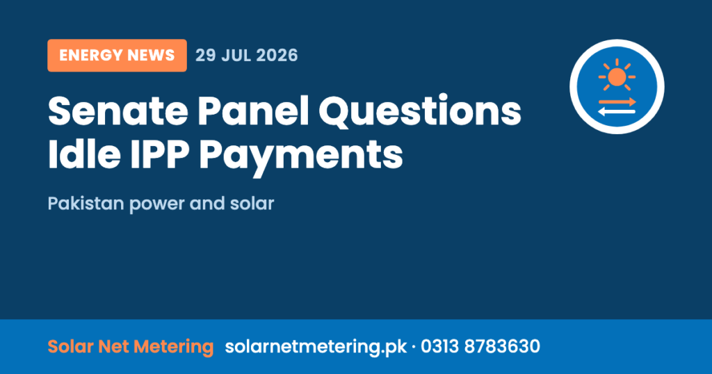 Senate Panel Questions Capacity Payments to Idle IPPs, Calls for NEPRA Audit